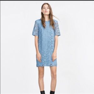 Zara Lace light blue shift dress